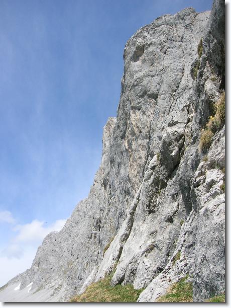 Nächstes Bild