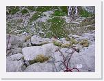 20070526_0964_l * 2288 x 1712 * (1.4MB)