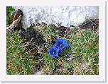 20070526_1052a_l * 2288 x 1712 * (1.23MB)