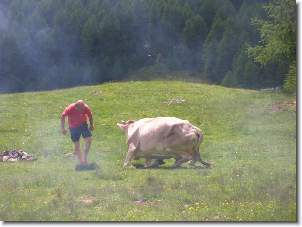 Nächstes Bild