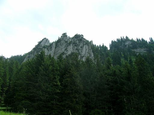 DSCN3946.JPG