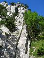DSCN3944