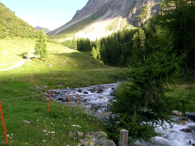 DSCN4115.JPG - Sertigtal
