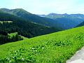 DSCN4118