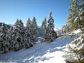 DSCN0183