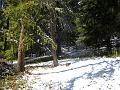 DSCN0187