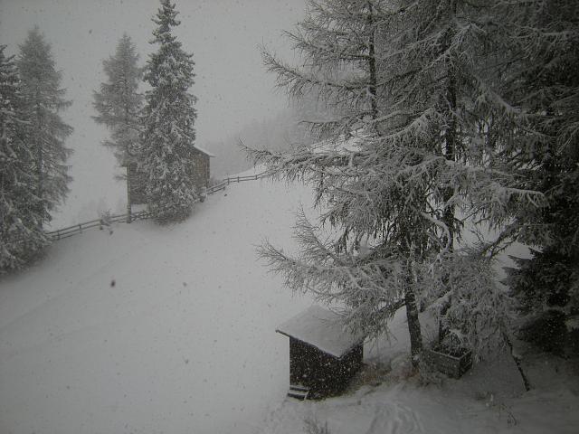 DSCN0274.JPG