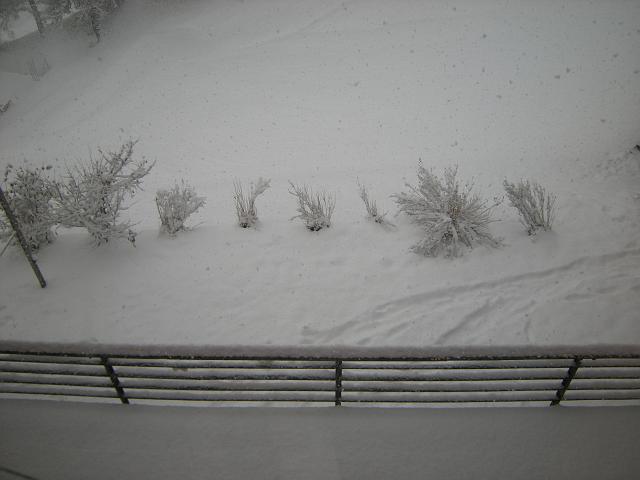 DSCN0276.JPG