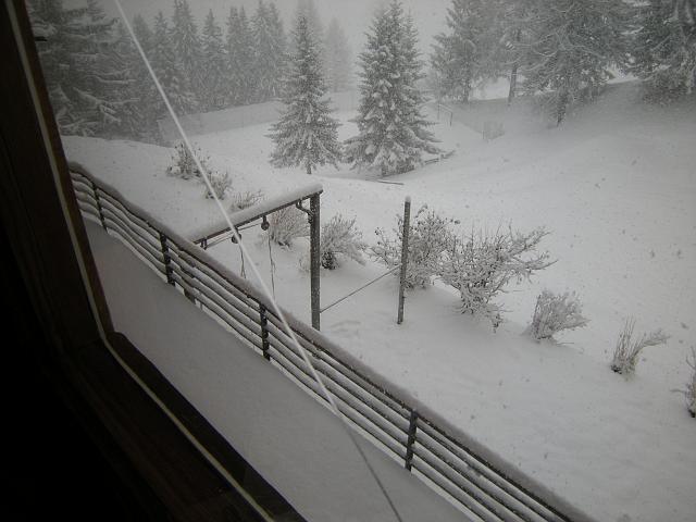 DSCN0277.JPG