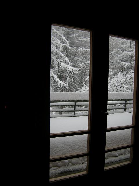 DSCN0284.JPG