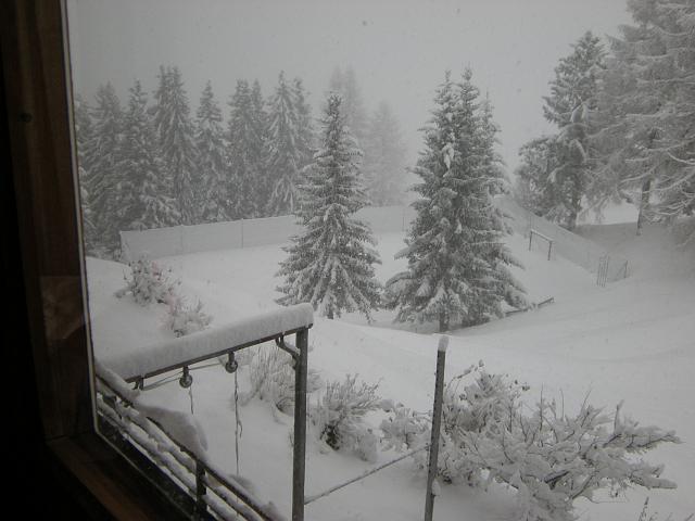 DSCN0291.JPG