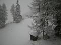 DSCN0274