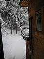 DSCN0279