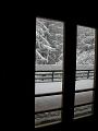 DSCN0284