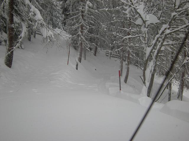 DSCN0301.JPG
