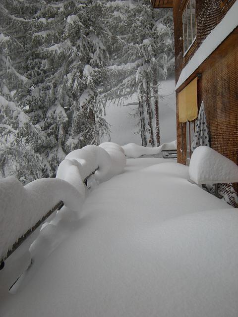 DSCN0303.JPG