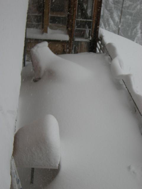 DSCN0308.JPG