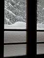 DSCN0298