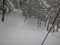 DSCN0301
