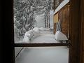 DSCN0304
