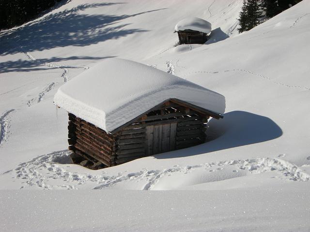 DSCN0502.JPG