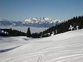 DSCN0621