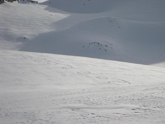 DSCN4661.JPG - Tierspuren