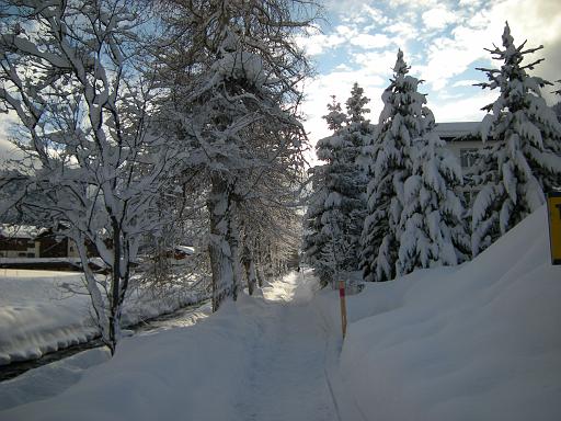 DSCN4732.JPG