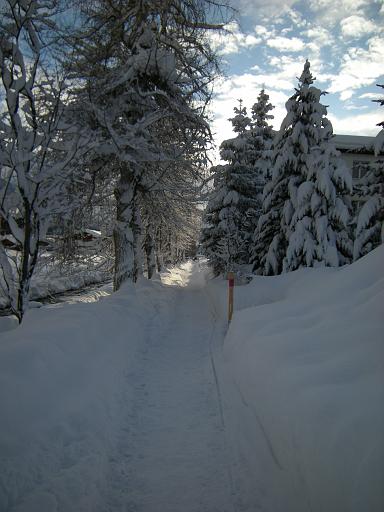 DSCN4733.JPG