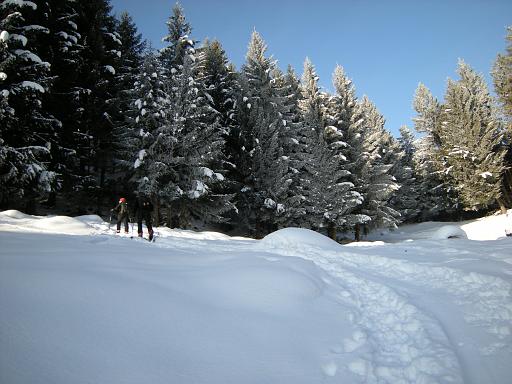DSCN4753.JPG