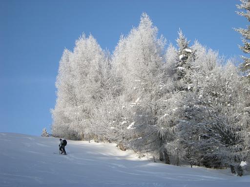 DSCN4755.JPG