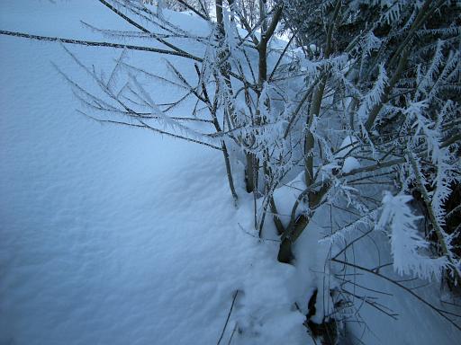 DSCN4759.JPG