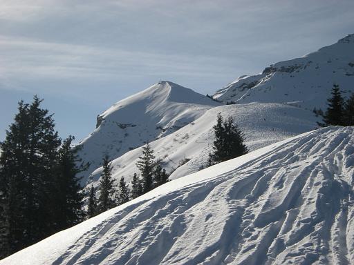 DSCN4786.JPG