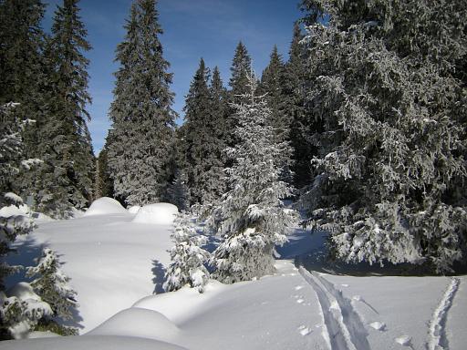 DSCN4794.JPG