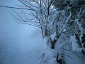 DSCN4759