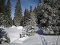 DSCN4794