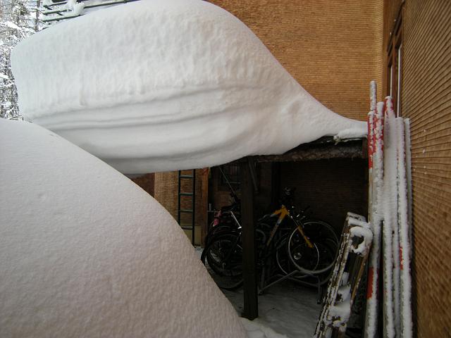 DSCN4935.JPG