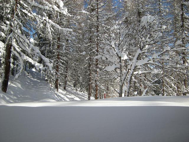 DSCN4936.JPG