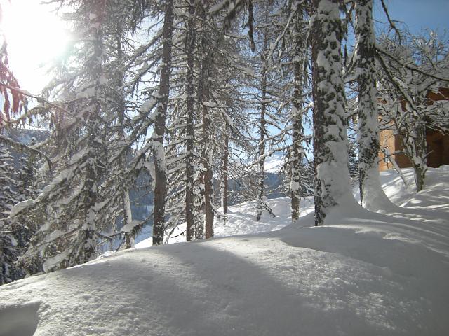 DSCN4944.JPG