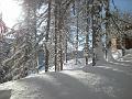 DSCN4944
