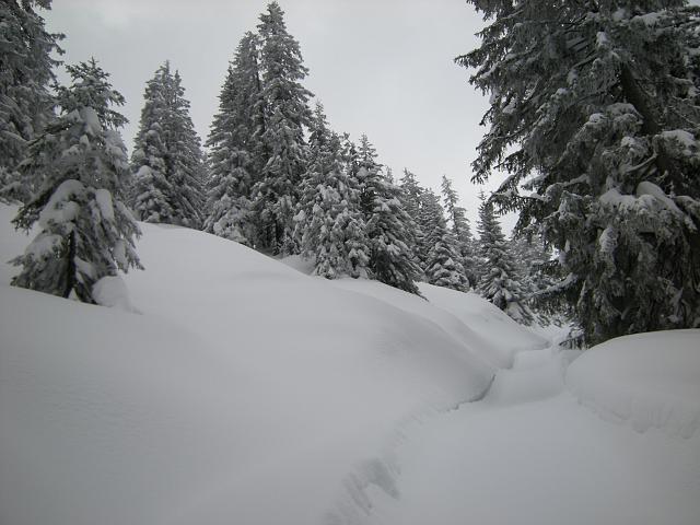 DSCN5038.JPG - zugeschneite Schlittelbahn