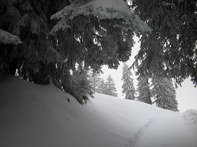 DSCN5043.JPG