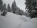 DSCN5038