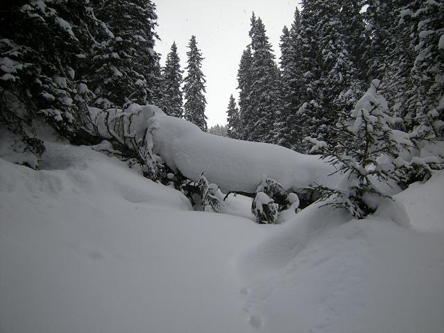 DSCN5055.JPG