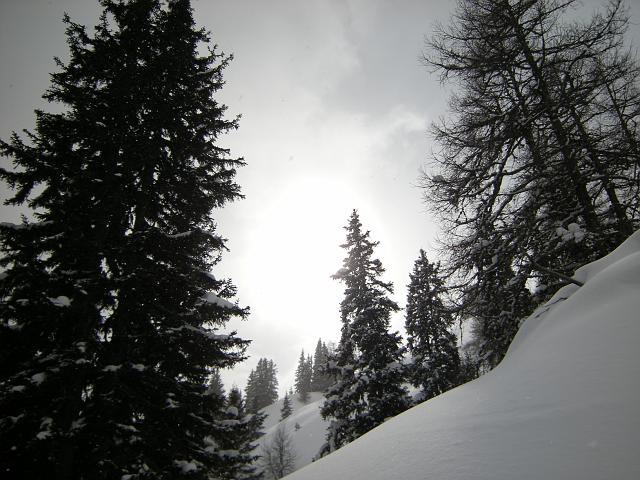 DSCN5059.JPG