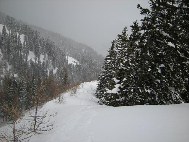 DSCN5060.JPG