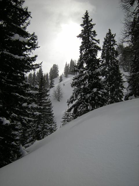 DSCN5061.JPG