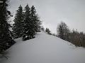 DSCN5056