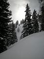 DSCN5061