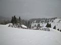 DSCN5075